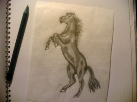 20110726.jpg